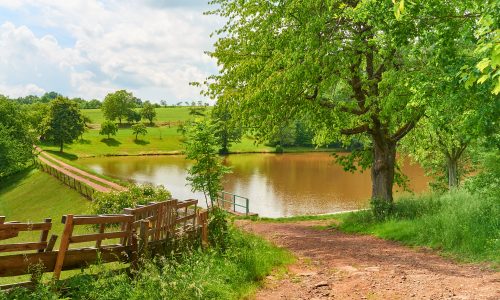 Štěpanický rybník